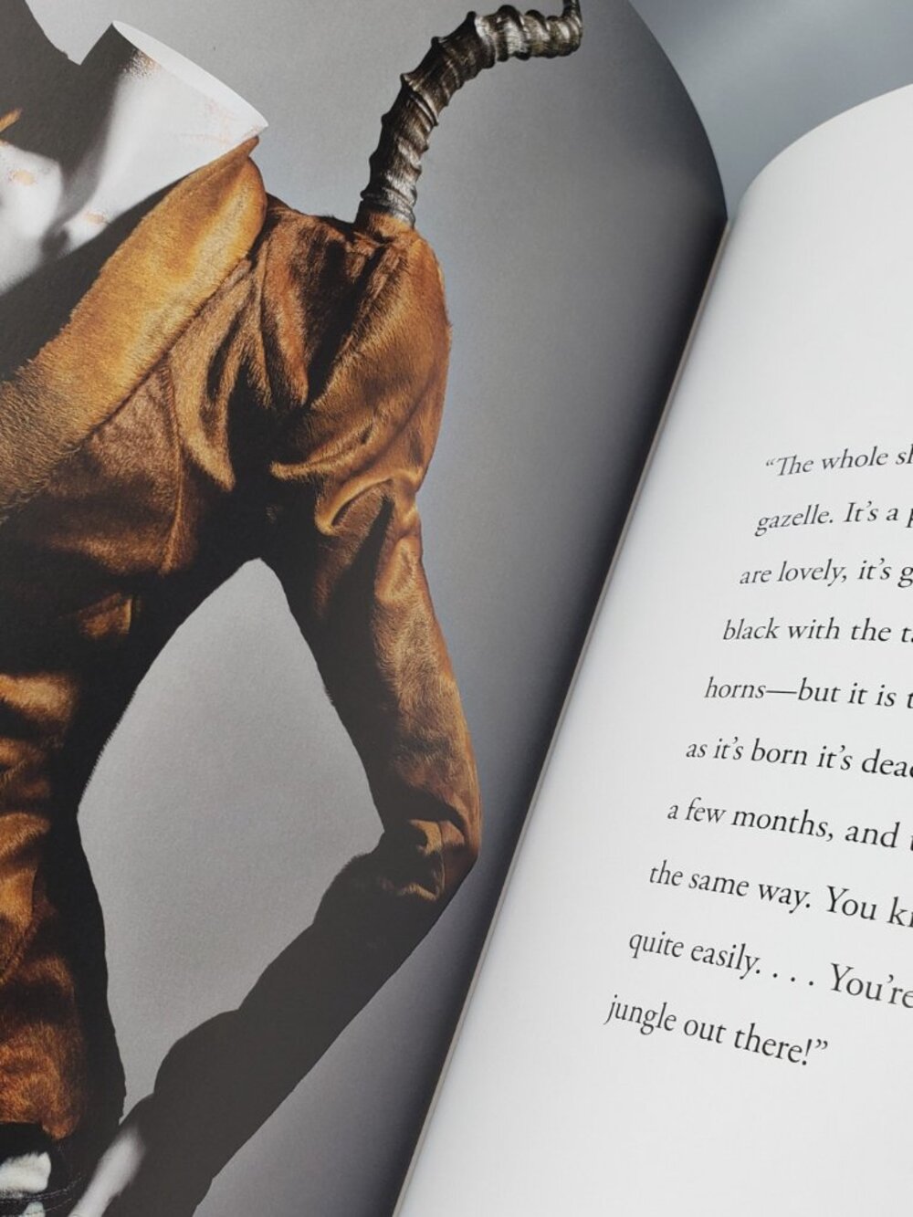 Alexander McQueen Savage Beauty Design Hardcover Coffee Table Picture Book 2011 - Picture 11 of 14